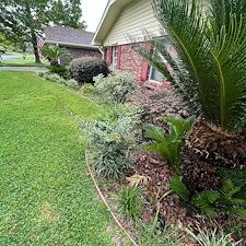 Refresh-Your-Landscape-with-Professional-Mulch-Installation-Shalimar-FL 4